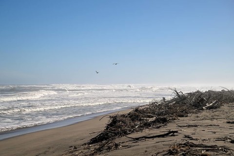 Beach on the Atlantic Ocean near Oranjemund, diamond restricted area, Karas region, Namibia