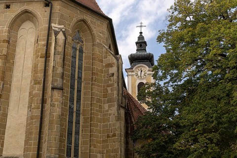 Gothic church with tower and clock next to green trees and bright sky, parish church St.Stephan