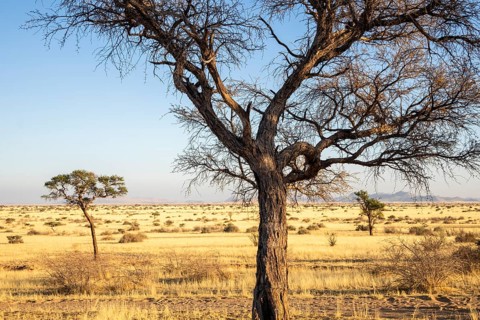 Solitaire is a remote settlement in Namibia, located on the edge of the Namib Desert, surrounded by