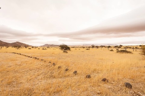 Solitaire is a remote settlement in Namibia, located on the edge of the Namib Desert, surrounded by
