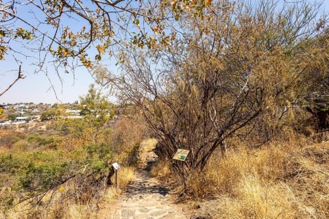 A stone pathway winds through dry woodland and bush at the National Botanic Garden, Windhoek,