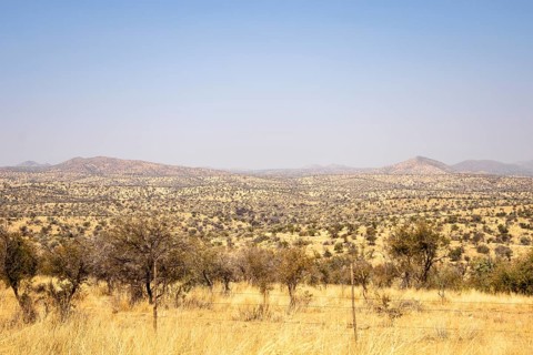 A sweeping view of Windhoek, Namibia, where a desert landscape under a clear blue sky, framed by