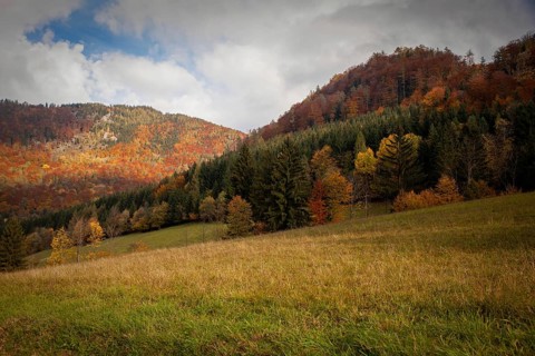 Autumnal mountain landscape with colourful forests and wide meadows under a cloudy sky, Ybbstal