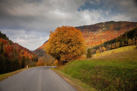 Autumn landscape with a winding road leading through colourful forests and rolling hills, Ybbstal