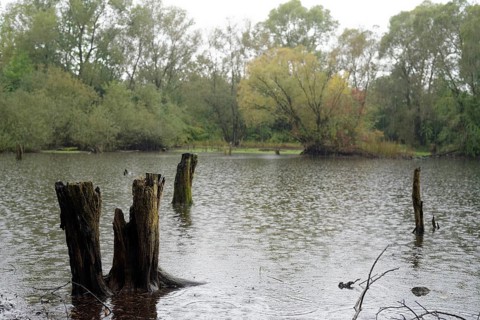 Heavy rain fills the Heidsee lake with water again after the summer in early autumn, pond, natural