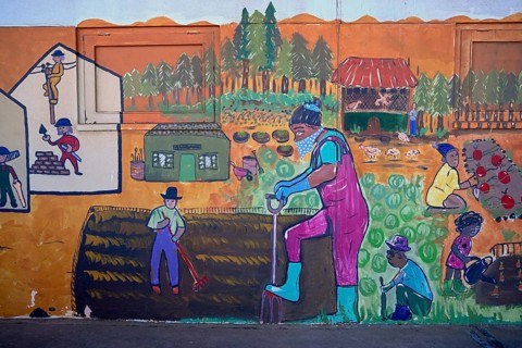 Mural painting of a vegetable garden at a school, Oranjemund, diamond restricted area, Karas