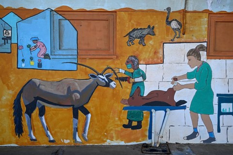 Wall painting of an oryx antelope (Oryx gazella) at a school, Oranjemund, Diamond Sperrgebiet,