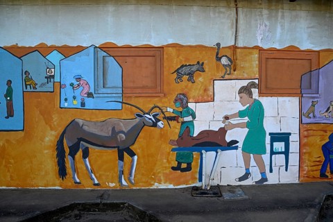 Wall painting of an oryx antelope (Oryx gazella) at a school, Oranjemund, Diamond Sperrgebiet,