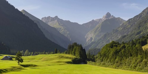 Cleared summer meadow in the Trettachtal, near Oberstdorf, behind it the Kratzer, 2428m and the