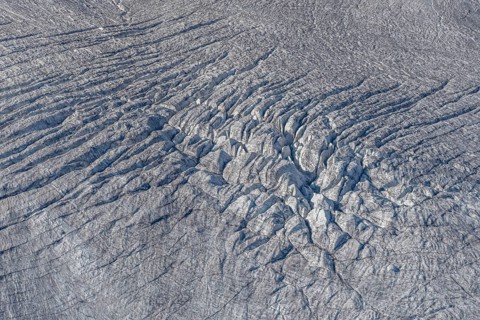 Crevasses and streaks mark the surface of the glacier. The sunlight highlights these unique