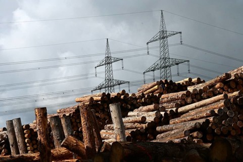 Enegie-Mann timber store in the Westerwald. The wood is processed into wood pellets, some of it