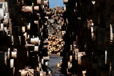 Enegie-Mann timber store in the Westerwald. The wood is processed into wood pellets, some of it