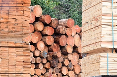 Enegie-Mann timber store in the Westerwald. The wood is processed into wood pellets, some of it