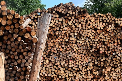 Enegie-Mann timber store in the Westerwald. The wood is processed into wood pellets, some of it
