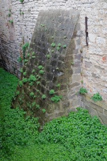 Stinging nettles shoot up in the moat, battlements, Comburg, Benedictine monastery, Middle Ages,
