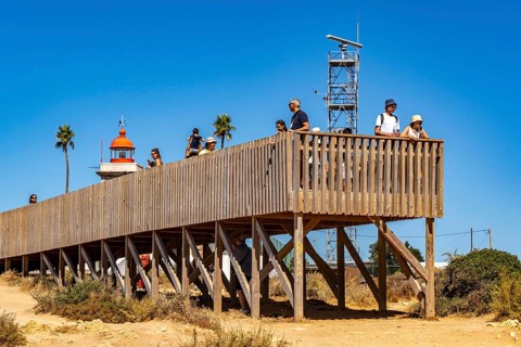 Tourists on the rocky coast of Ponta da Piedade, rugged coastal landscape, right next to Lagos city