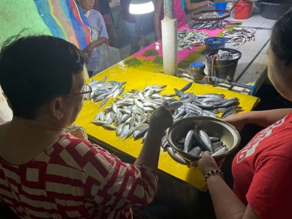 Vendor, Market, Market stall, Fish, San Carlos, Negros Occidental, Philippines