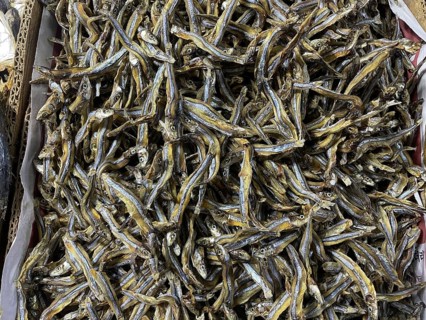 Market, market stall, fish, dried fish, San Carlos, Negros Occidental, Philippines