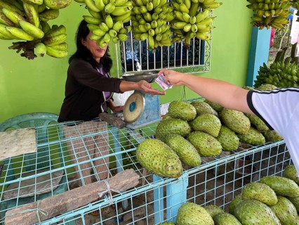 Vendor, market, market stall, customer pays, pay, money, fruit, durian, bananas, Negros Occidental,