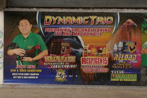 Cockfighting, advertising for upcoming fights, Negros Occidental, Philippines