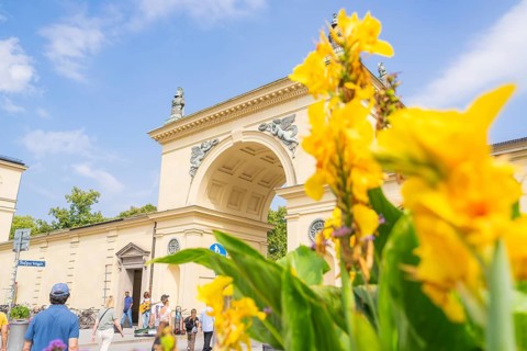 Historic Tor tor with yellow flowers in the foreground and blossoming sky and architecture in the