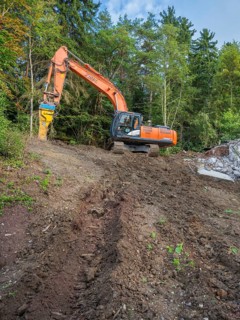 An excavator working on a pile of earth in a wooded area with a clear sky, bridge demolition, Calw,
