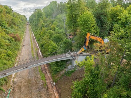 An excavator demolishes a bridge in the forest, surrounded by dense greenery and under a cloudy