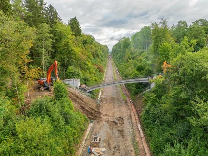 Excavator on both sides of a bridge to be demolished in a wooded area with cloudy sky, bridge