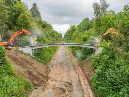 Two excavators demolishing a bridge over a forest path, surrounded by dense vegetation, bridge