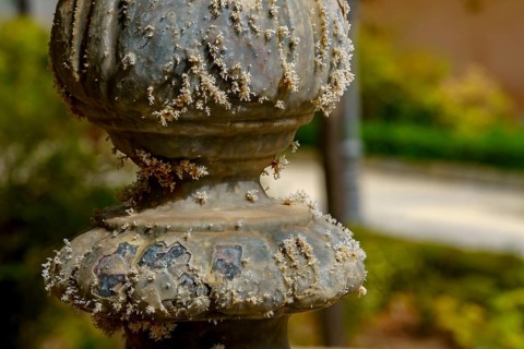 Detail of a weathered stone pillar covered in lichen, showcasing the effects of time and nature in
