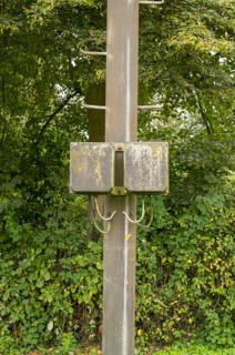 Borken, NRW, Germany, Utility pole standing in green forest with a weathered junction box covered