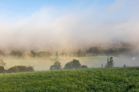 Early morning fog over the edge of a forest, Leoben, Styria, Austria