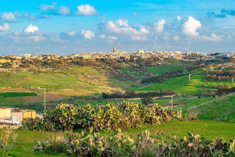 Beautiful view of nature at Gozo with Victoria or Rabat on the horizon, Gozo island, Malta