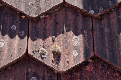 Old plain tile with moss