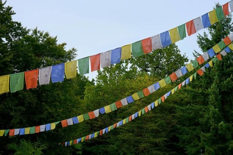 Colourful prayer flags hang over a green forest and lend a spiritual atmosphere, Bavaria, Germany