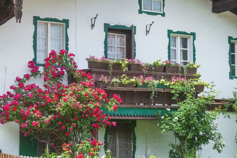 Balcony with flowers and flower boxes on an old house, Reit im Winkl, Chiemgau, Upper Bavaria,