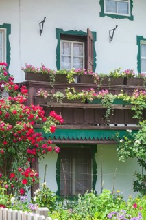 Balcony with flowers and flower boxes on an old house, Reit im Winkl, Chiemgau, Upper Bavaria,