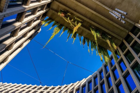 Architecture, catering and commercial real estate, Am Tacheles, Oranienburger Straße, Berlin,