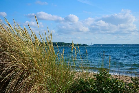 Beach dunes overlooking the sea under a partly cloudy sky, Heikendorf, Plön district, Kiel Fjord,