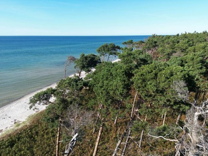 Drone image of the west beach on the Fischland Darß peninsula, Mecklenburg-Western Pomerania,