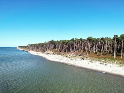 Drone image of the west beach on the Fischland Darß peninsula, Mecklenburg-Western Pomerania,