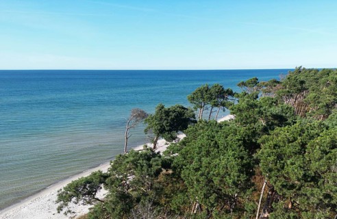 Drone image of the west beach on the Fischland Darß peninsula, Mecklenburg-Western Pomerania,