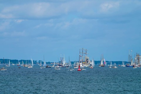 Numerous sailing boats sailing on the blue sea with a wide view of the horizon, Windjammer Parade