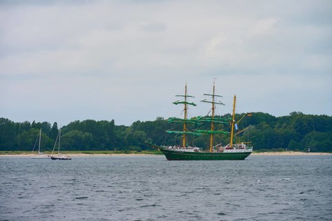 Large sailing ship with green sails Sailing Alexander von Humbold 2 on the sea in front of a wooded