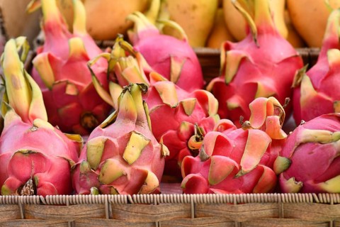Close up of fresh exotic Dragonfruit fruits for sale at market