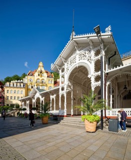 Swiss-style market colonnade, spa, healing spring, health, mineral, mineral water, illness, Karlovy