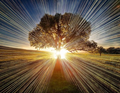 An awe-inspiring scene showcasing the sun's rays bursting through a solitary tree, illuminating a