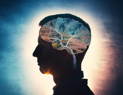 A creative representation of a human head silhouette incorporating an illuminated brain. The image