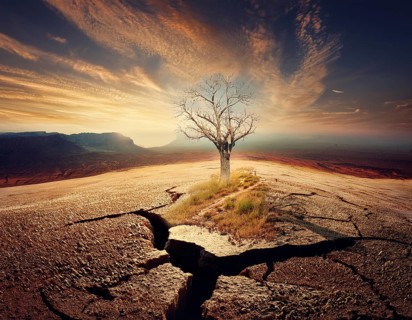Life Concept. Existence survival being consciousness. Growth of new life, AI generated