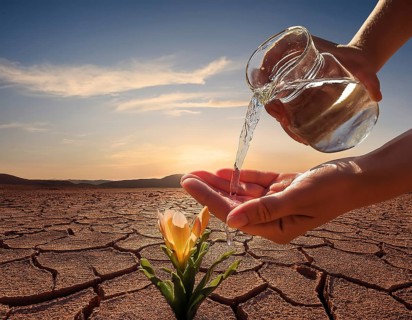 Symbolizing hope and resilience, a flower thrives in a dry desert landscape, nourished by water